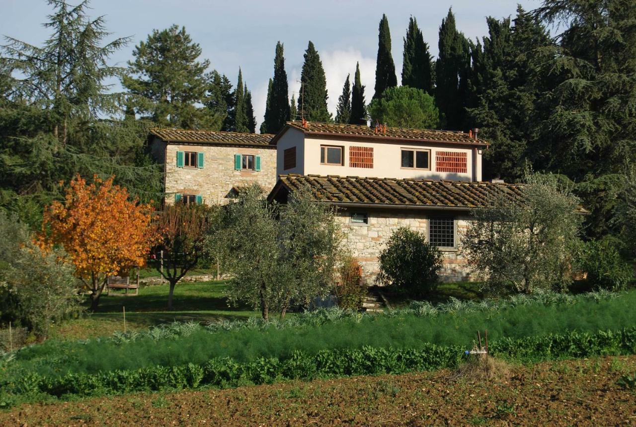 Giulio Apartment Villamagna (Florence)
