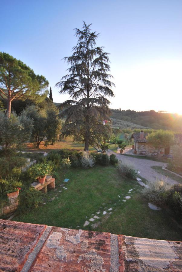 Apartment Giulio
